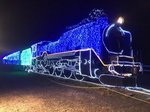 小岩井牧場　冬　イルミネーション　 (2)